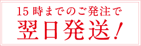 翌日発想